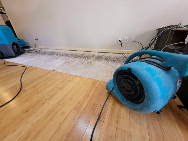 Professional Burst Pipe Water Damage technician working in Miamiville, OH